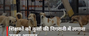 शिक्षकों को कुत्तों की निगरानी में लगाना उनका अपमान