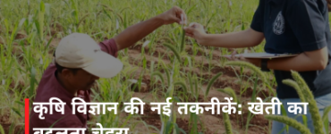 भारतीय उच्च शिक्षा 2025–26: सुधारों की रफ्तार, भरोसे का संकट और प्रासंगिक बने रहने की चुनौती