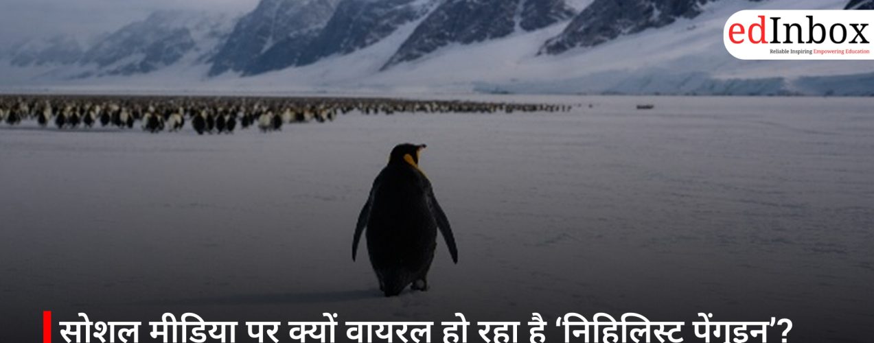 सोशल मीडिया पर क्यों वायरल हो रहा है ‘निहिलिस्ट पेंगुइन’? छात्रों से क्यों जुड़ रही है यह कहानी