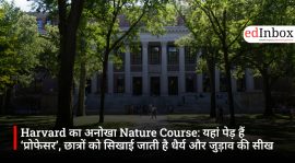 Harvard का अनोखा Nature Course: यहां पेड़ हैं ‘प्रोफेसर’, छात्रों को सिखाई जाती है धैर्य और जुड़ाव की सीख