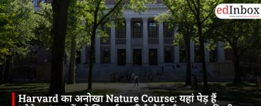 Harvard का अनोखा Nature Course: यहां पेड़ हैं ‘प्रोफेसर’, छात्रों को सिखाई जाती है धैर्य और जुड़ाव की सीख