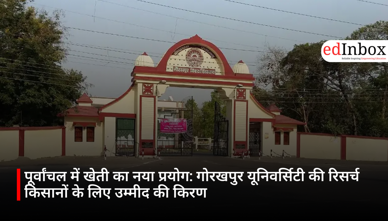 पूर्वांचल में खेती का नया प्रयोग: गोरखपुर यूनिवर्सिटी की रिसर्च किसानों के लिए उम्मीद की किरण