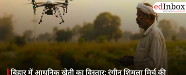 बिहार में आधुनिक खेती का विस्तार: रंगीन शिमला मिर्च की इंडो-इजरायल तकनीक ने बढ़ाया किसानों का मुनाफ़ा