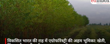 विकसित भारत की राह में एग्रोफॉरेस्ट्री की अहम भूमिका: खेती, शिक्षा और ग्रामीण रोजगार का नया मॉडल