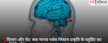 दिमाग और वेद: क्या मानव नर्वस सिस्टम प्रकृति के ब्लूप्रिंट का प्रतिबिंब है?