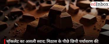 चॉकलेट का असली स्वाद: मिठास के पीछे छिपी पर्यावरण की कीमत