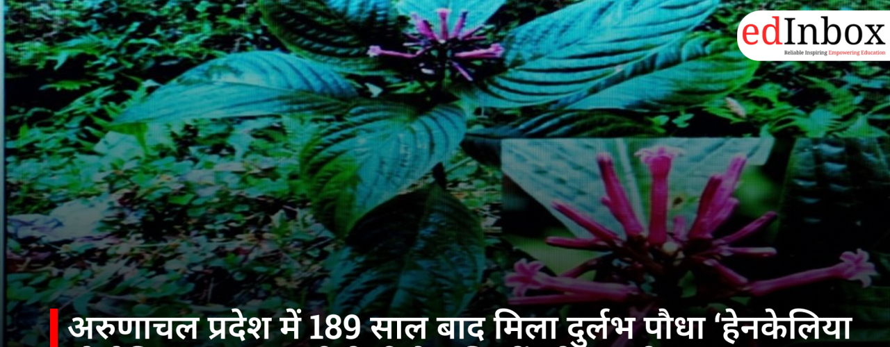 एनसीईआरटी पुस्तक विवाद: सुप्रीम कोर्ट की सख्ती के बाद केंद्र ने सभी कक्षाओं की किताबों की समीक्षा शुरू की