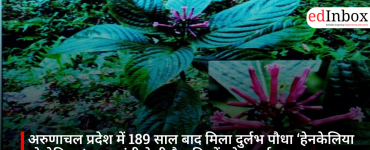 एनसीईआरटी पुस्तक विवाद: सुप्रीम कोर्ट की सख्ती के बाद केंद्र ने सभी कक्षाओं की किताबों की समीक्षा शुरू की