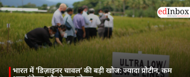 भारत में ‘डिज़ाइनर चावल’ की बड़ी खोज: ज्यादा प्रोटीन, कम शुगर इंडेक्स और बेहतर पोषण