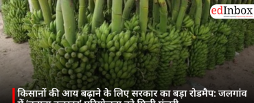 किसानों की आय बढ़ाने के लिए सरकार का बड़ा रोडमैप: जलगांव में ‘बनाना क्लस्टर’ परियोजना को मिली मंजूरी