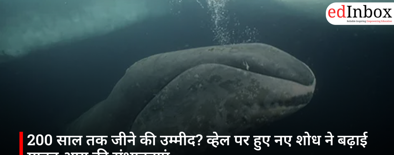 200 साल तक जीने की उम्मीद? व्हेल पर हुए नए शोध ने बढ़ाई मानव आयु की संभावनाएं