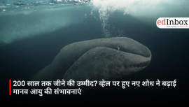 200 साल तक जीने की उम्मीद? व्हेल पर हुए नए शोध ने बढ़ाई मानव आयु की संभावनाएं