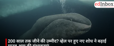 200 साल तक जीने की उम्मीद? व्हेल पर हुए नए शोध ने बढ़ाई मानव आयु की संभावनाएं