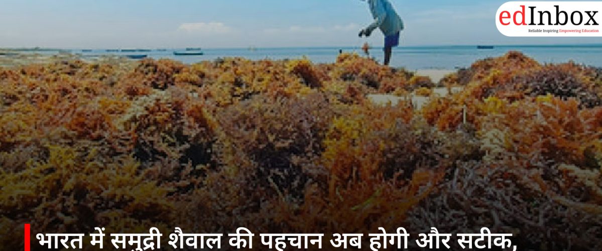 भारत में समुद्री शैवाल की पहचान अब होगी और सटीक, वैज्ञानिकों ने तैयार की डीएनए आधारित विश्वसनीय सूची
