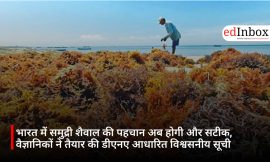 भारत में समुद्री शैवाल की पहचान अब होगी और सटीक, वैज्ञानिकों ने तैयार की डीएनए आधारित विश्वसनीय सूची