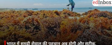 भारत में समुद्री शैवाल की पहचान अब होगी और सटीक, वैज्ञानिकों ने तैयार की डीएनए आधारित विश्वसनीय सूची