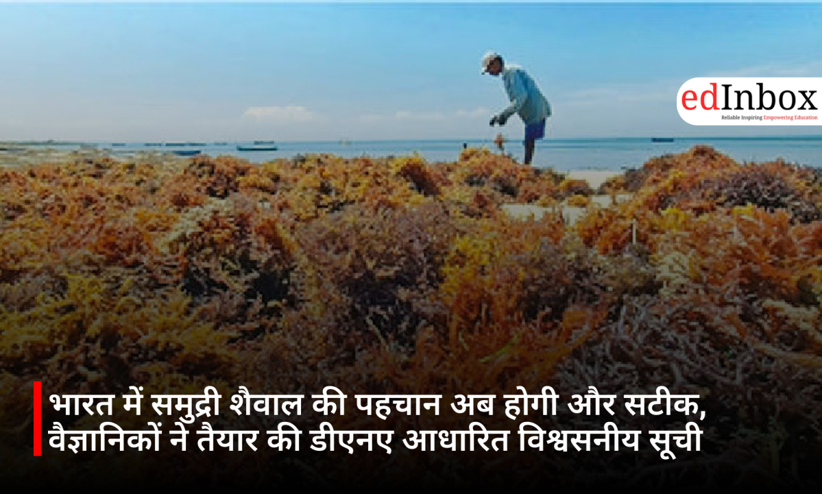 भारत में समुद्री शैवाल की पहचान अब होगी और सटीक, वैज्ञानिकों ने तैयार की डीएनए आधारित विश्वसनीय सूची