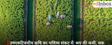 उष्णकटिबंधीय कृषि का भविष्य संकट में: श्रम की कमी, थक चुकी व्यवस्था और बदलती आकांक्षाएँ