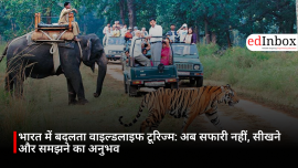 भारत में बदलता वाइल्डलाइफ टूरिज्म: अब सफारी नहीं, सीखने और समझने का अनुभव