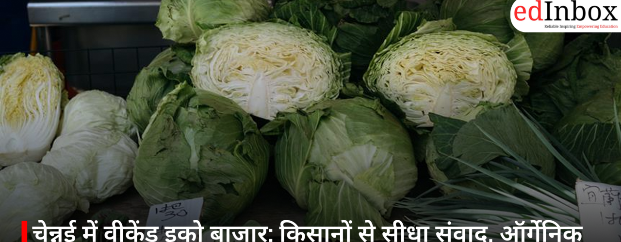 चेन्नई में वीकेंड इको बाजार: किसानों से सीधा संवाद, ऑर्गेनिक खेती और सतत जीवनशैली की झलक