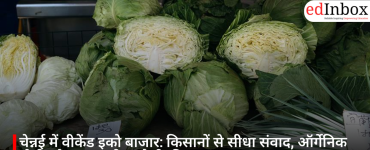 चेन्नई में वीकेंड इको बाजार: किसानों से सीधा संवाद, ऑर्गेनिक खेती और सतत जीवनशैली की झलक