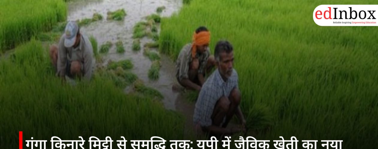 From Soil to Prosperity Along the Ganges: UP’s New Organic Farming Model Boosts Farmers' Income