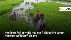 From Soil to Prosperity Along the Ganges: UP’s New Organic Farming Model Boosts Farmers' Income