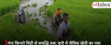 From Soil to Prosperity Along the Ganges: UP’s New Organic Farming Model Boosts Farmers' Income