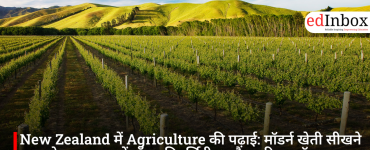 Studying Agriculture in New Zealand: A Global Hub for Learning Modern Farming—Discover Top Universities and Career Options