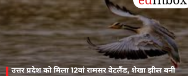 Uttar Pradesh Gets Its 12th Ramsar Wetland; Shekha Lake Becomes the Country's 99th Site