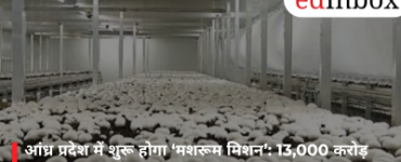 आंध्र प्रदेश में शुरू होगा ‘मशरूम मिशन’: 13,000 करोड़ रुपये के निवेश से बदलेगी किसानों की आय का गणित