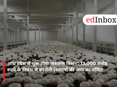 आंध्र प्रदेश में शुरू होगा ‘मशरूम मिशन’: 13,000 करोड़ रुपये के निवेश से बदलेगी किसानों की आय का गणित