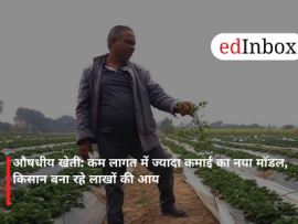 Medicinal Farming: A New Model for High Returns at Low Cost; Farmers Are Earning Lakhs