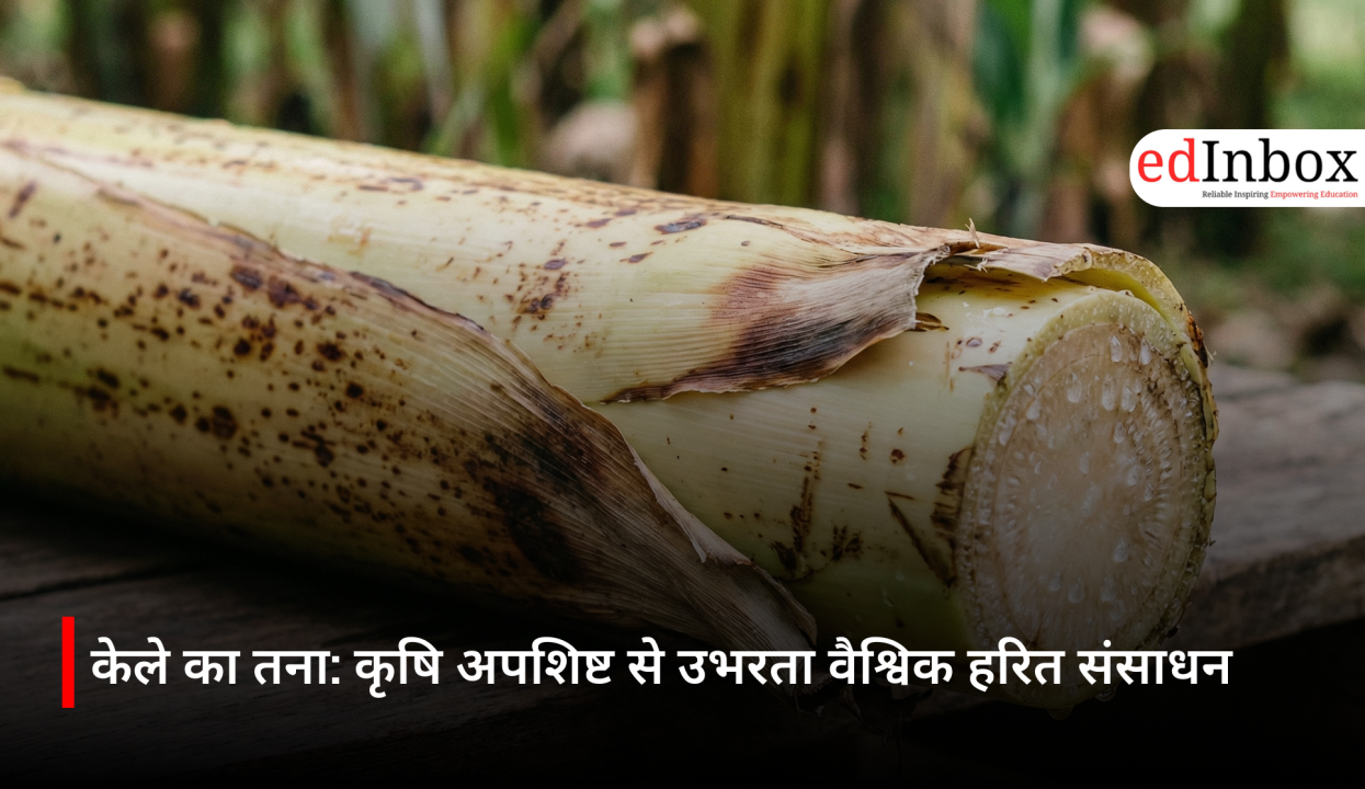 Banana Stem: An Emerging Global Green Resource from Agricultural Waste