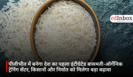 पीलीभीत में बनेगा देश का पहला इंटीग्रेटेड बासमती-ऑर्गेनिक ट्रेनिंग सेंटर, किसानों और निर्यात को मिलेगा बड़ा बढ़ावा