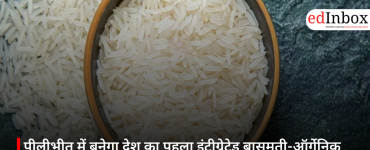 पीलीभीत में बनेगा देश का पहला इंटीग्रेटेड बासमती-ऑर्गेनिक ट्रेनिंग सेंटर, किसानों और निर्यात को मिलेगा बड़ा बढ़ावा