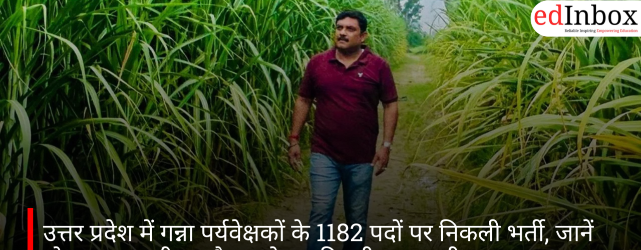 उत्तर प्रदेश में गन्ना पर्यवेक्षकों के 1182 पदों पर निकली भर्ती, जानें योग्यता, उम्र सीमा और आवेदन की पूरी जानकारी