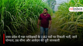 उत्तर प्रदेश में गन्ना पर्यवेक्षकों के 1182 पदों पर निकली भर्ती, जानें योग्यता, उम्र सीमा और आवेदन की पूरी जानकारी