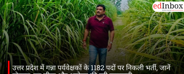 उत्तर प्रदेश में गन्ना पर्यवेक्षकों के 1182 पदों पर निकली भर्ती, जानें योग्यता, उम्र सीमा और आवेदन की पूरी जानकारी