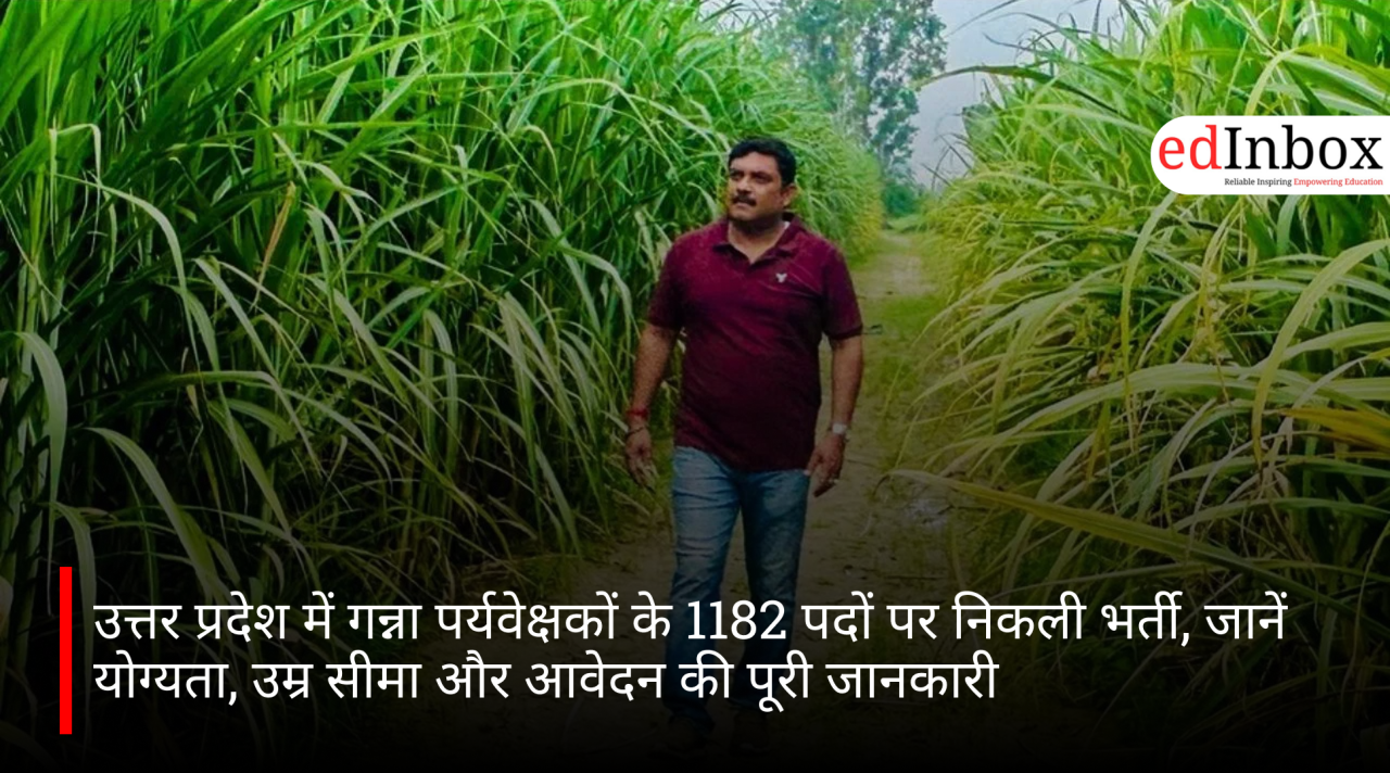 उत्तर प्रदेश में गन्ना पर्यवेक्षकों के 1182 पदों पर निकली भर्ती, जानें योग्यता, उम्र सीमा और आवेदन की पूरी जानकारी