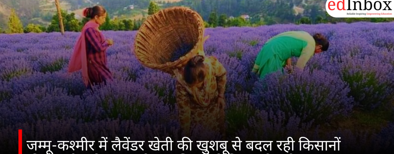जम्मू-कश्मीर में लैवेंडर खेती की खुशबू से बदल रही किसानों की तकदीर, रोजगार और उद्यमिता को मिल रही नई उड़ान