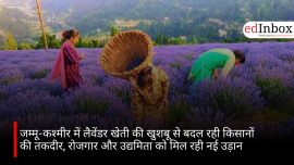 जम्मू-कश्मीर में लैवेंडर खेती की खुशबू से बदल रही किसानों की तकदीर, रोजगार और उद्यमिता को मिल रही नई उड़ान