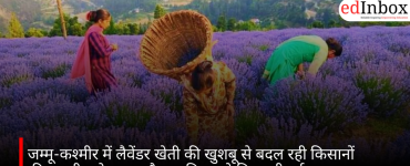 जम्मू-कश्मीर में लैवेंडर खेती की खुशबू से बदल रही किसानों की तकदीर, रोजगार और उद्यमिता को मिल रही नई उड़ान