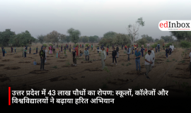 Planting of 4.3 million saplings in Uttar Pradesh: Schools, colleges, and universities boost the green drive 