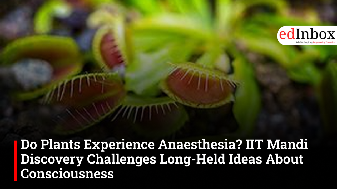 Do Plants Experience Anaesthesia? IIT Mandi Discovery Challenges Long-Held Ideas About Consciousness
