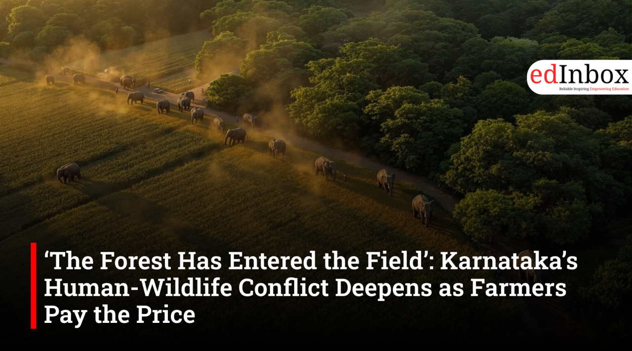 ‘The Forest Has Entered the Field’: Karnataka’s Human-Wildlife Conflict Deepens as Farmers Pay the Price