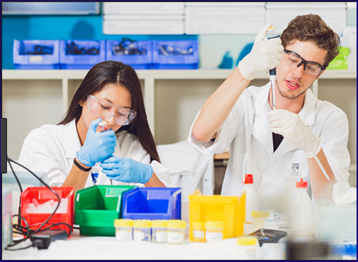 A Day in the Life of a Toxicologist: Roles, Responsibilities, and Challenges 