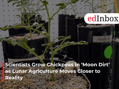 Scientists Grow Chickpeas in ‘Moon Dirt’ as Lunar Agriculture Moves Closer to Reality