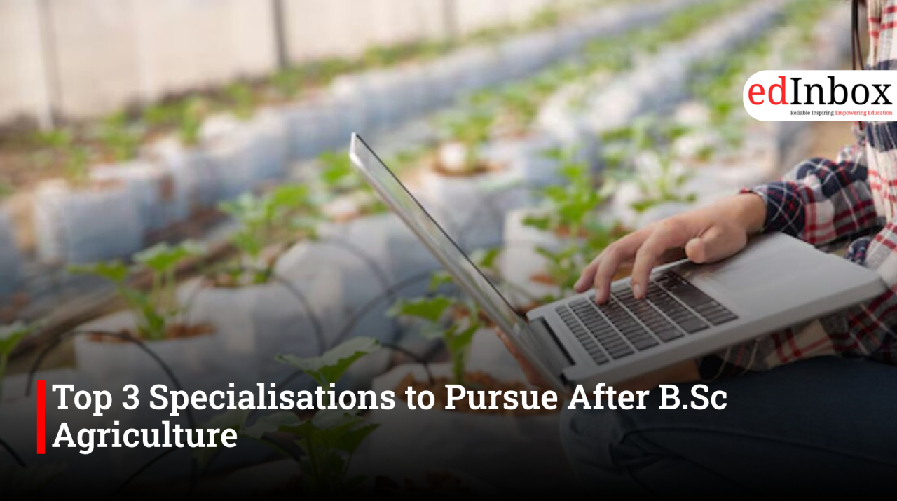 Top 3 Specialisations to Pursue After B.Sc Agriculture 