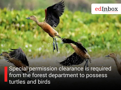 Special permission clearance is required from the forest department to possess turtles and birds